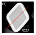 graphic file with name nanomaterials-14-01190-i026.jpg