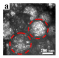 graphic file with name nanomaterials-14-01190-i025.jpg