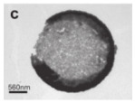 graphic file with name nanomaterials-14-01190-i002.jpg