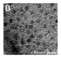 graphic file with name nanomaterials-14-01190-i055.jpg