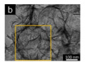 graphic file with name nanomaterials-14-01190-i058.jpg