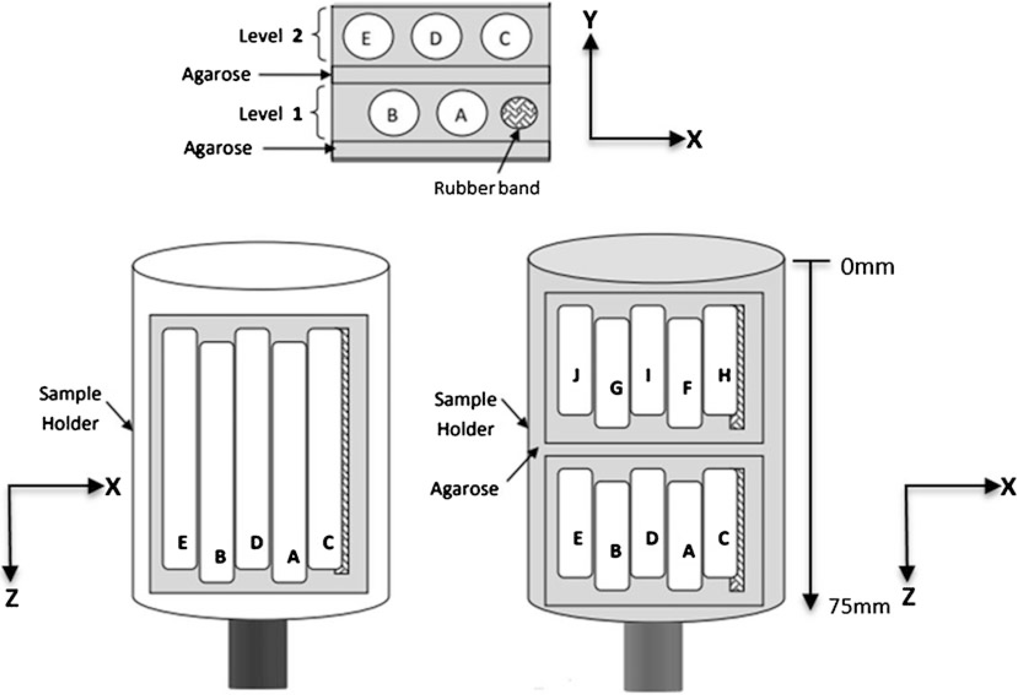 Fig. 8