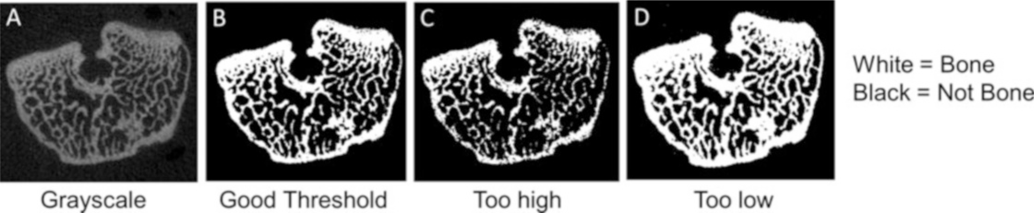 Fig. 25