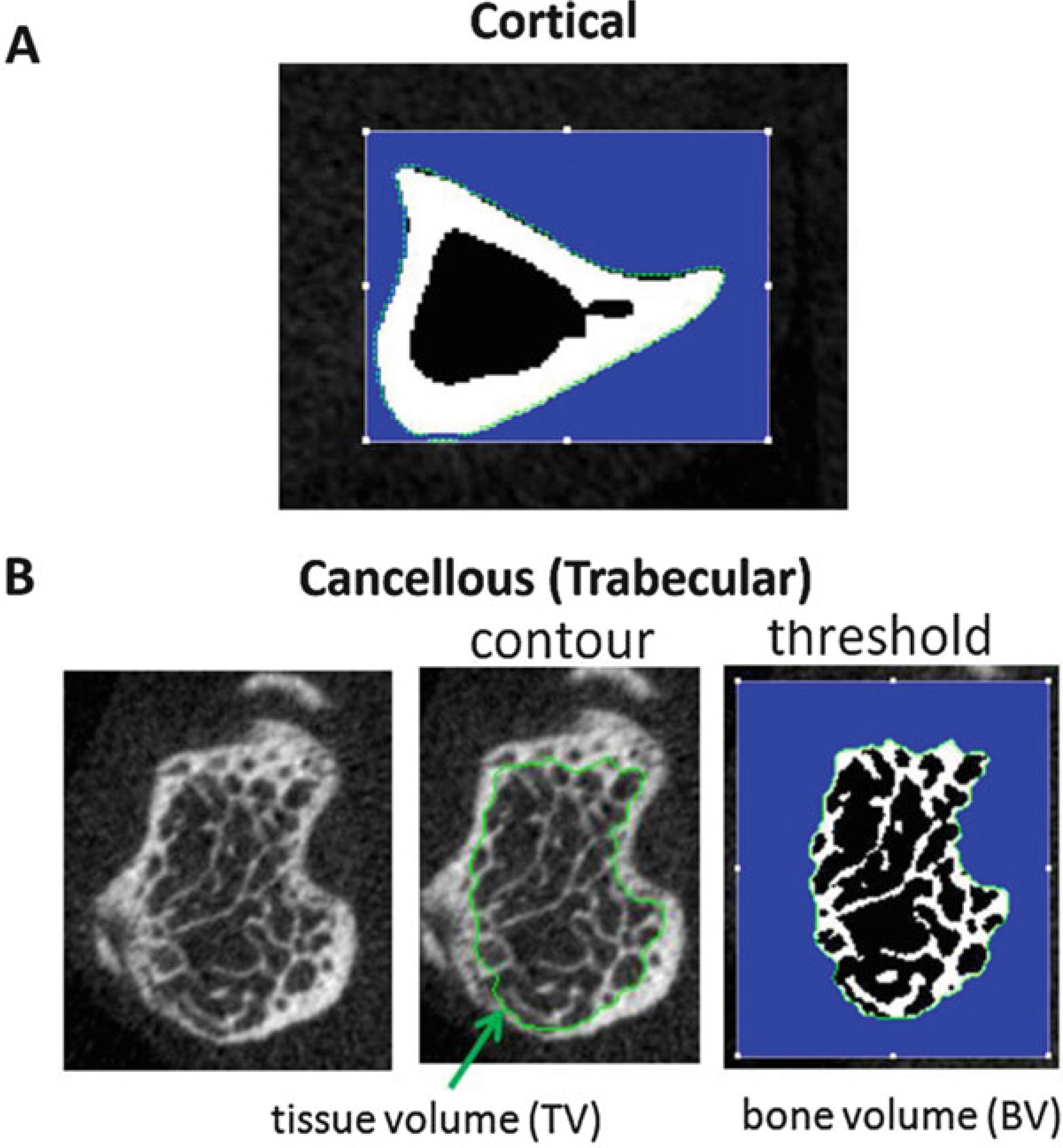 Fig. 28