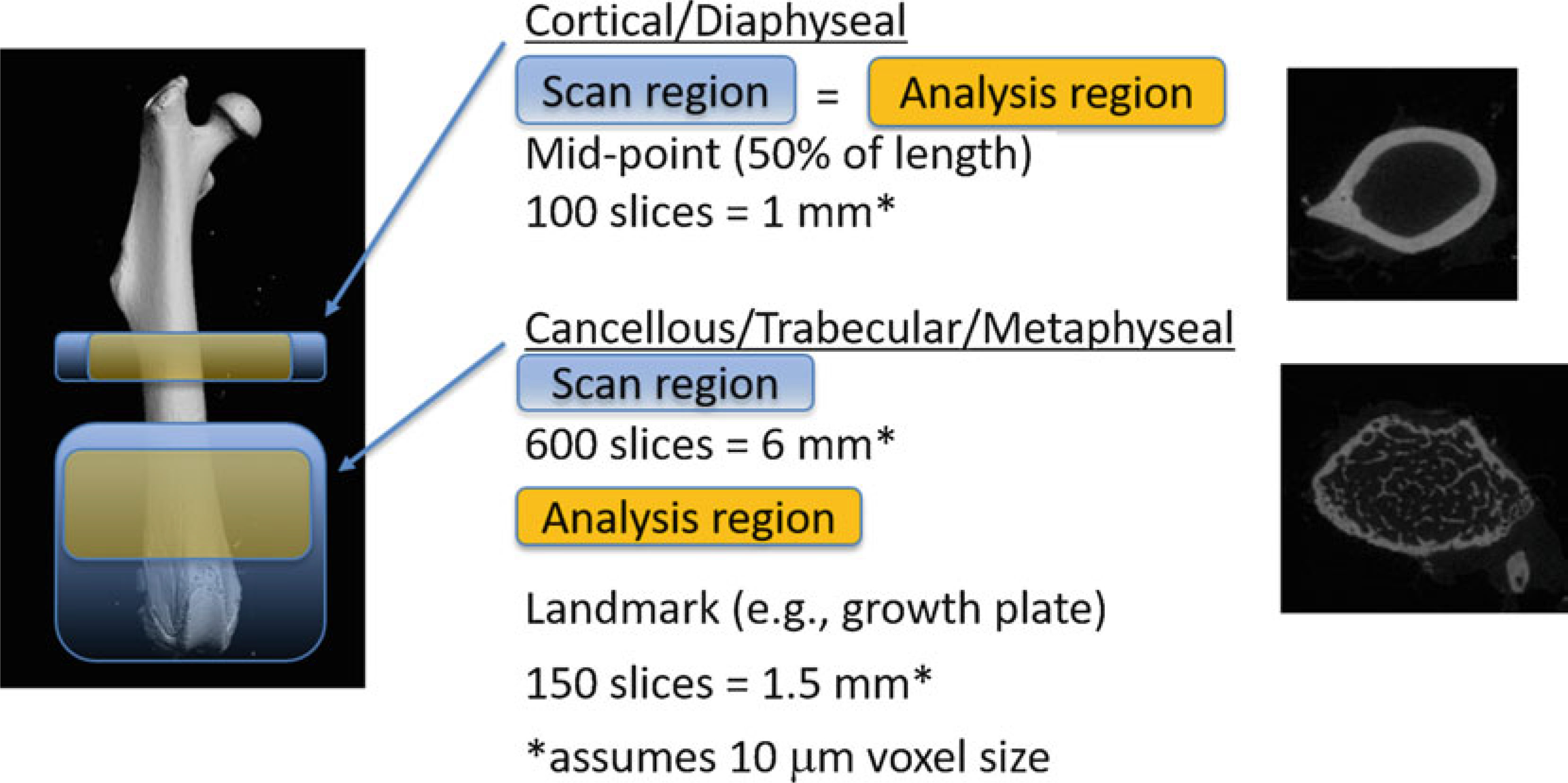 Fig. 17