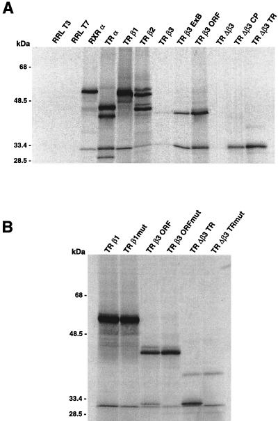 FIG. 5