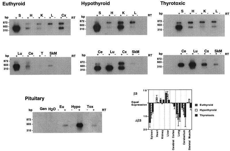 FIG. 10