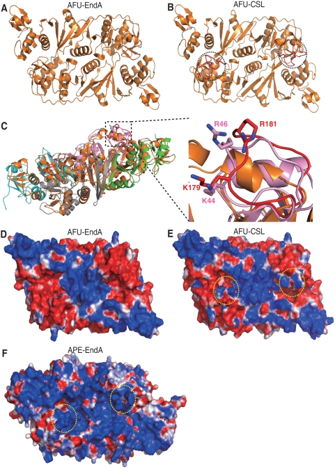 Figure 7.