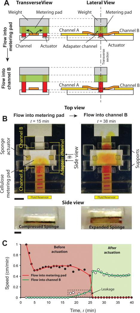 Figure 5