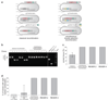 Extended Data Figure 1