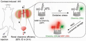 Figure 42