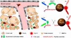 Figure 33