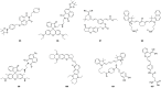 Figure 34