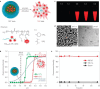 Figure 28