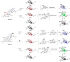 Figure 31