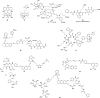 Figure 24