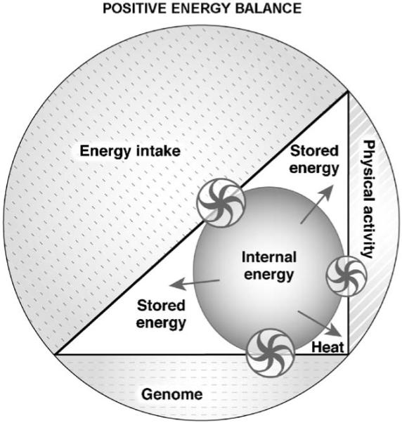 Fig. 5