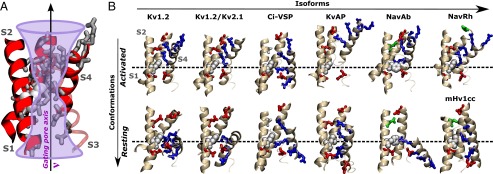 Fig. 3.