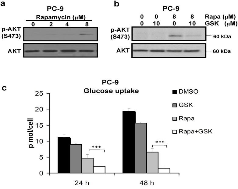 Fig 7