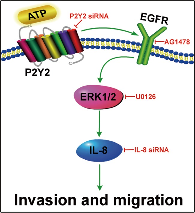 Fig 8