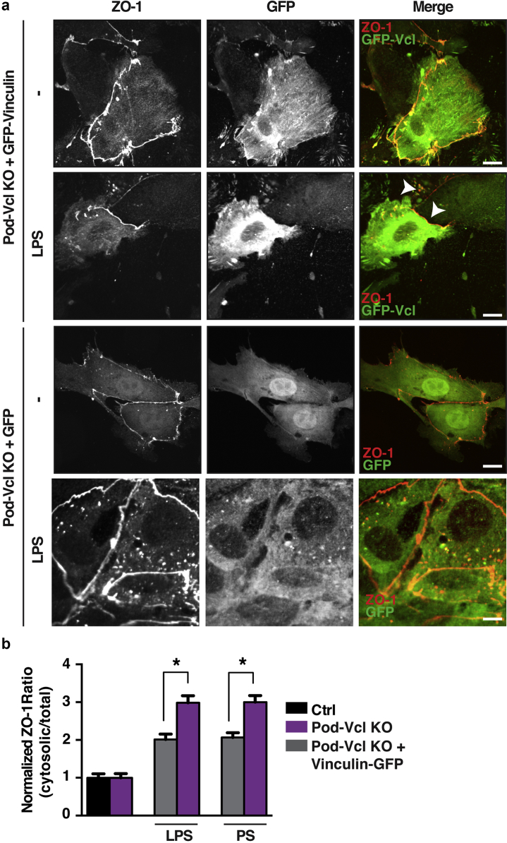 Figure 6