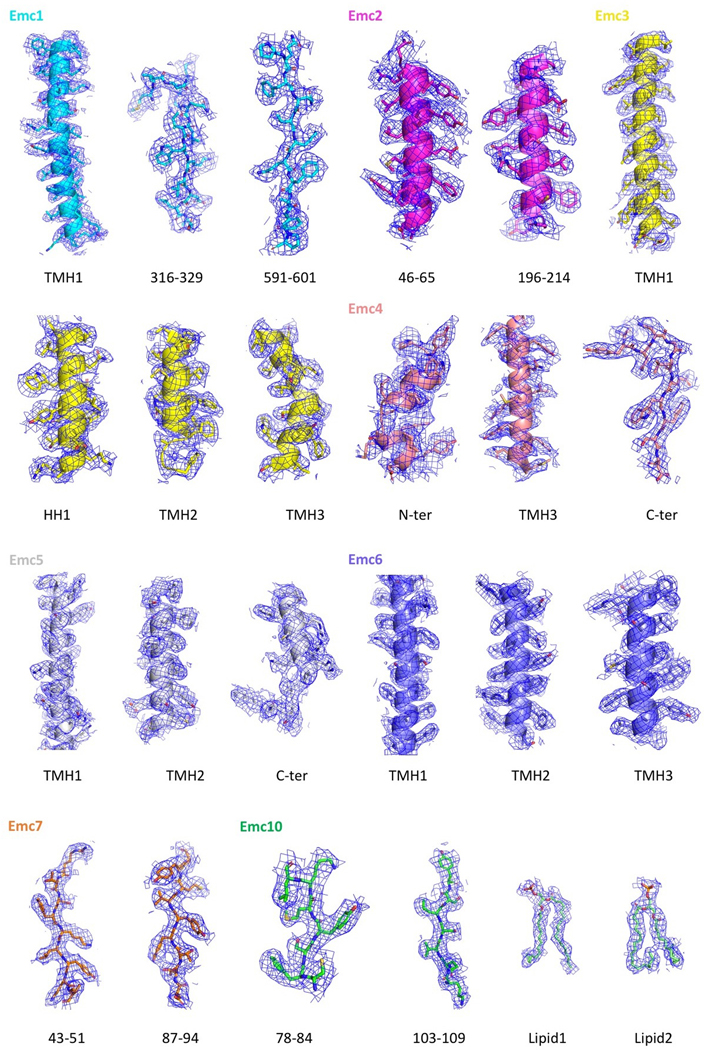 Extended Data Figure 4.