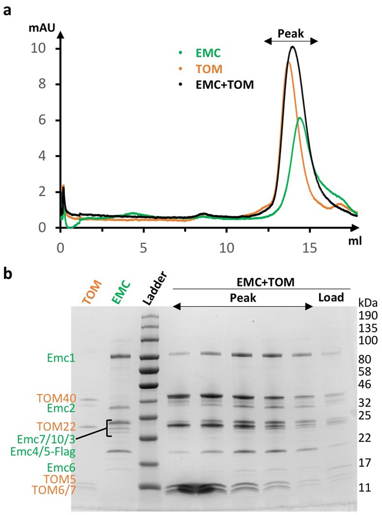 Extended Data Figure 6.