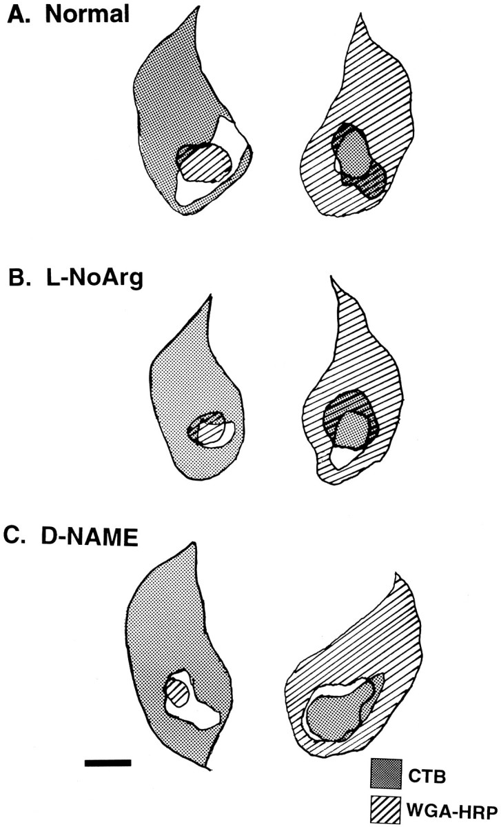 Fig. 8.