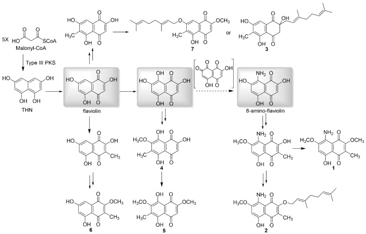 Figure 4