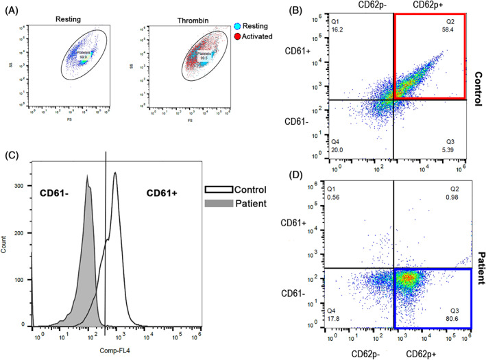 FIGURE 2