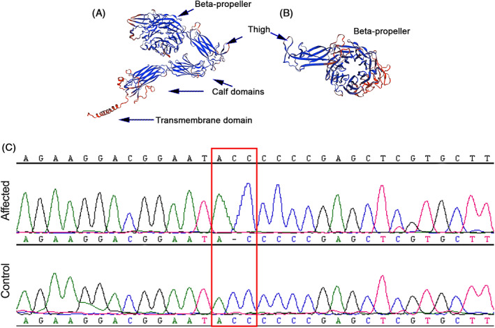 FIGURE 4