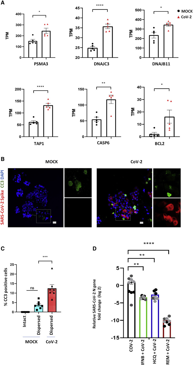 Figure 4