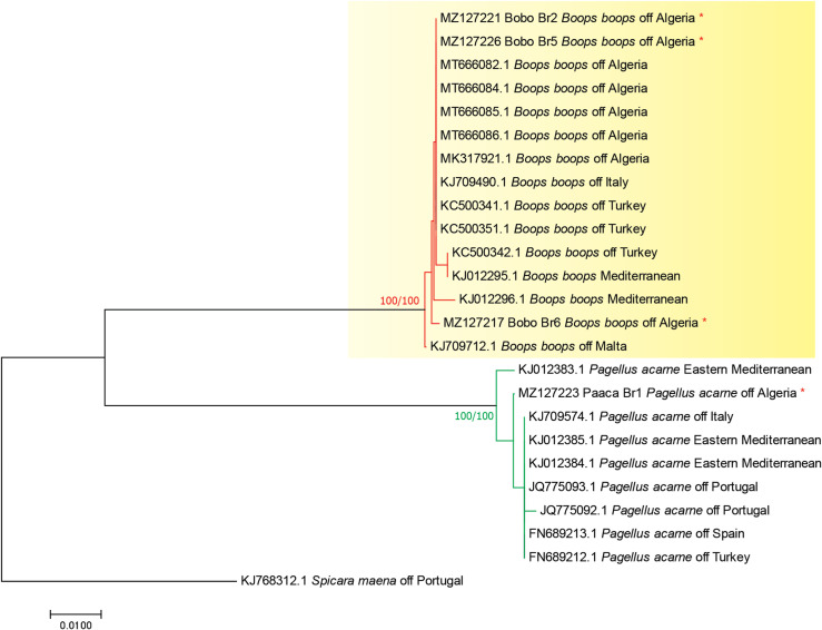 Figure 2