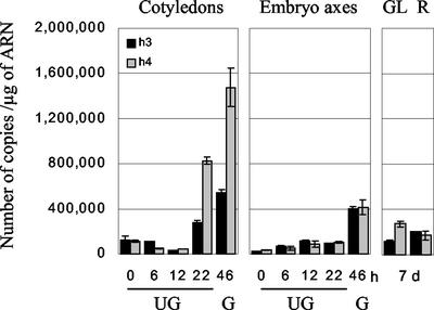 Figure 7.