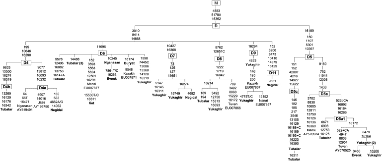 Figure 4