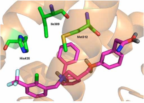 Fig. (4)