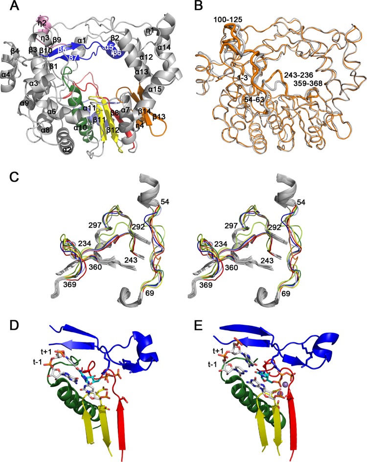 FIG 2