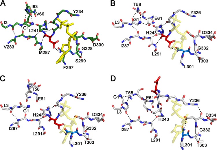 FIG 3