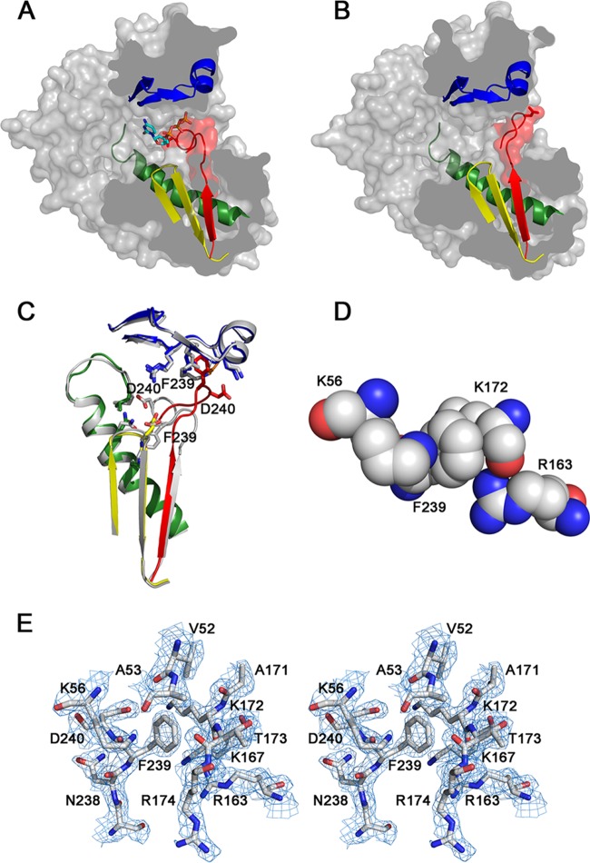 FIG 4