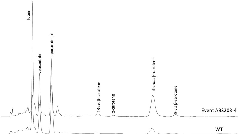 Fig. S1.