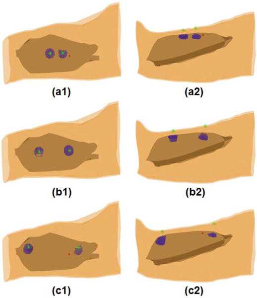 Fig. 8