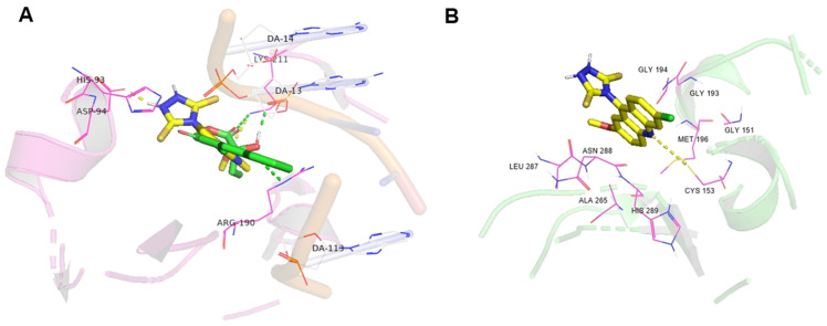 Figure 7