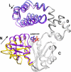 FIGURE 4.