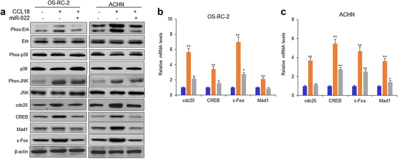 Fig. 6