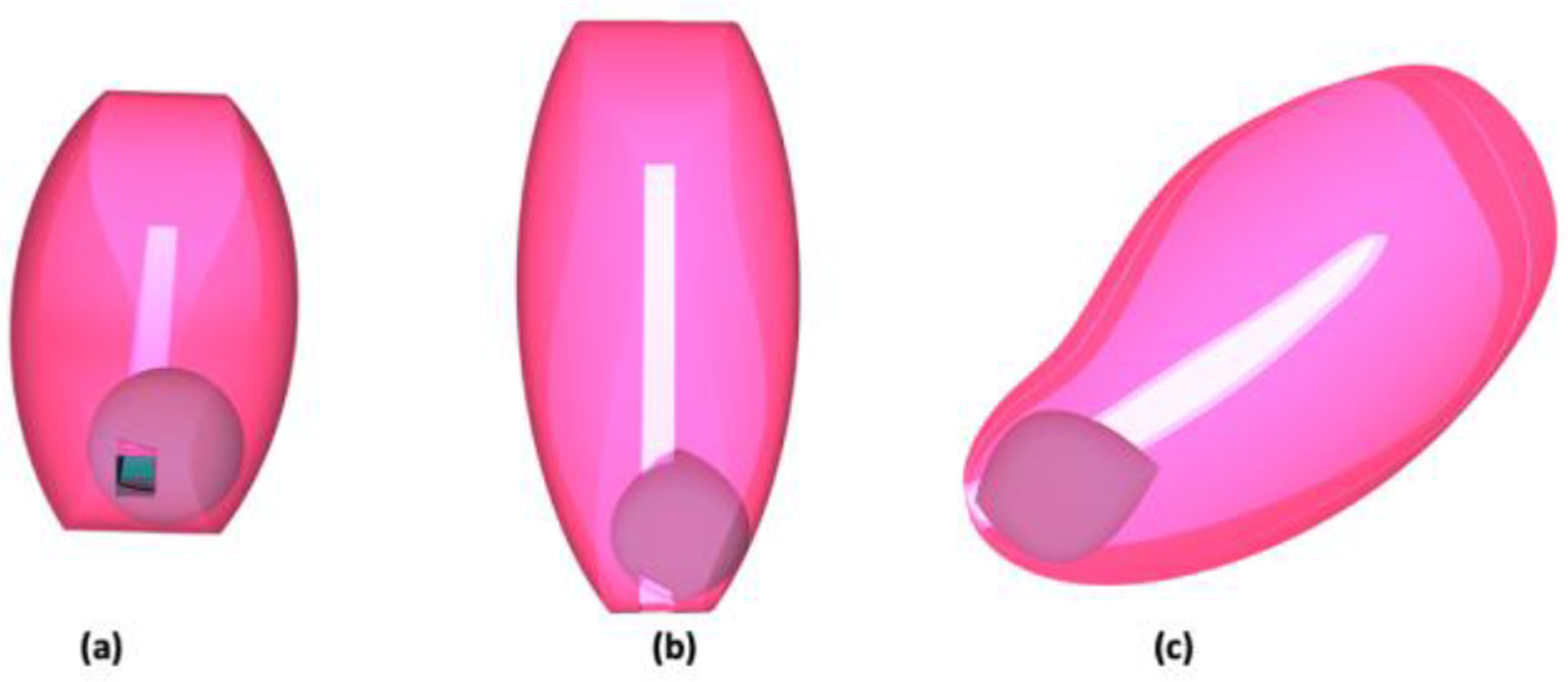 Figure 4: