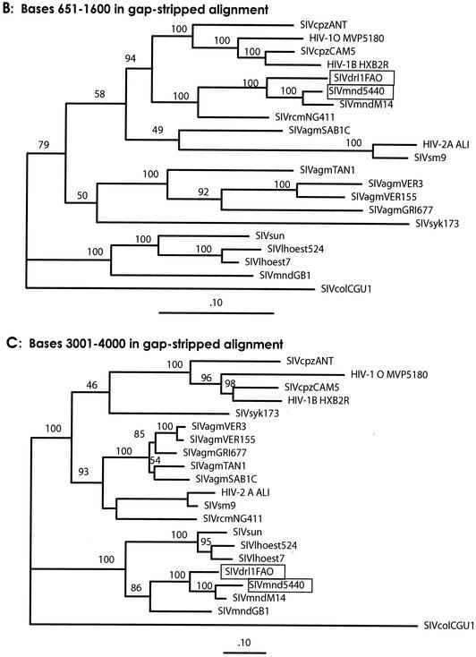 FIG. 3.