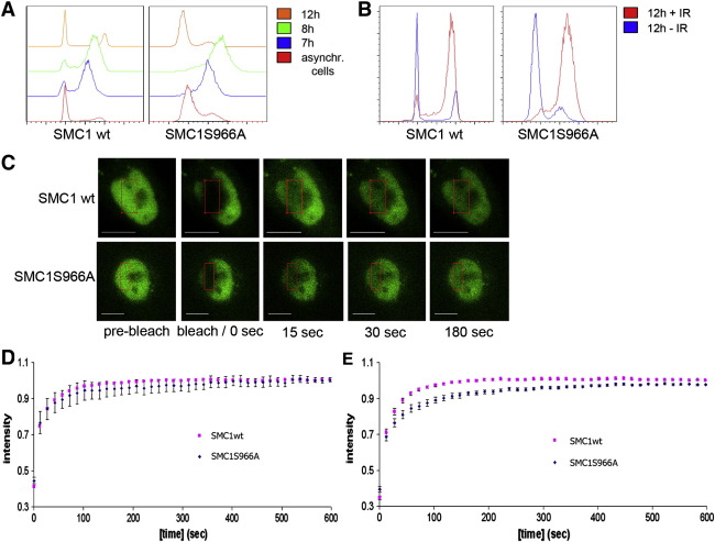 Fig. 3