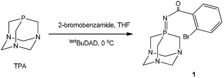 Scheme 1