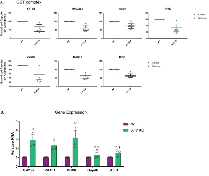 Figure 3—figure supplement 1.