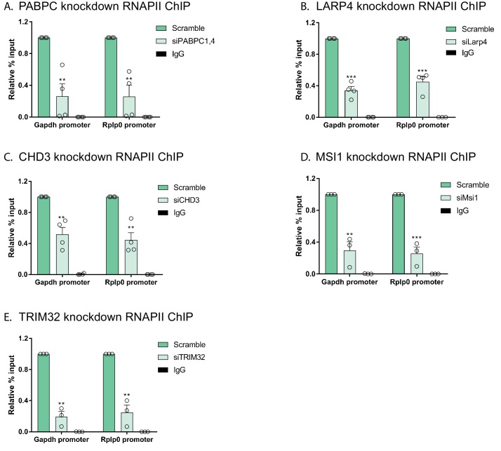 Figure 5—figure supplement 2.